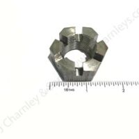 CASTLE NUT - Image 2