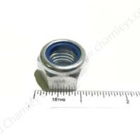 NUT - Image 2