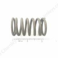 VALVE SPRING - OUTER - Image 2
