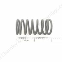VALVE SPRING - INNER - Image 2