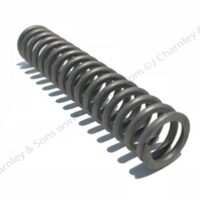 VALVE SPRING - Image 2