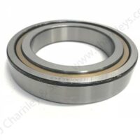 DIFFERENTIAL BEARING