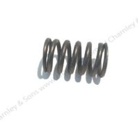 SPRING - ENGINE VALVE SPRING - Image 2