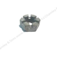 CASTLE NUT - Image 2