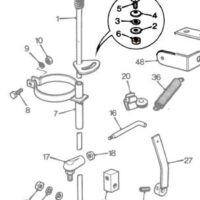 NUT - Image 3