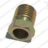 NUT - Image 3