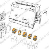 MAIN BEARING SET -  .060 (4-CYL) - Image 3