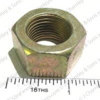 NUT - 3/4" STANDARD - Image 2