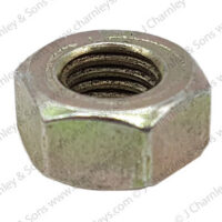 NUT - Image 2