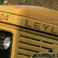 BONNET DECAL - HARVEST GOLD 804 - Image 2