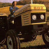 BONNET DECAL - HARVEST GOLD 802 - Image 4