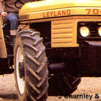 BONNET DECAL - HARVEST GOLD 704 - Image 3
