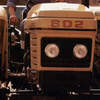 BONNET DECAL - HARVEST GOLD 602 - Image 3