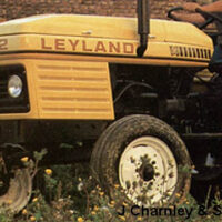 BONNET DECAL - HARVEST GOLD 502 - Image 4