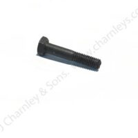 PIVOT BOLT