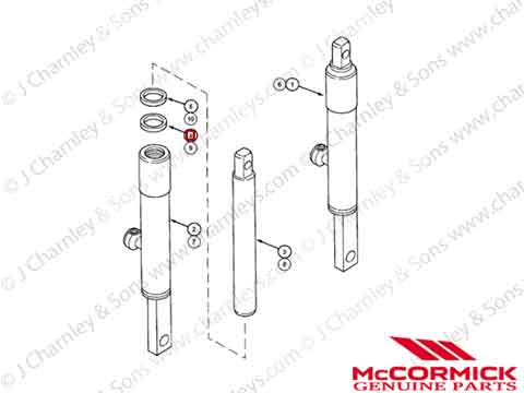 ASSISTOR RAM SEAL KIT - Image 3