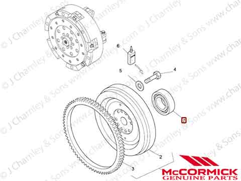 PILOT BEARING - Image 3