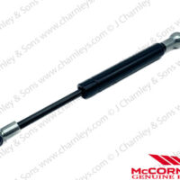DOOR GAS STRUT - ECO