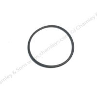 O-RING