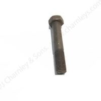 BOLT - Image 2