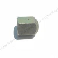 WHEEL NUT - Image 2