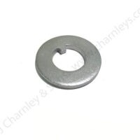 TAB WASHER